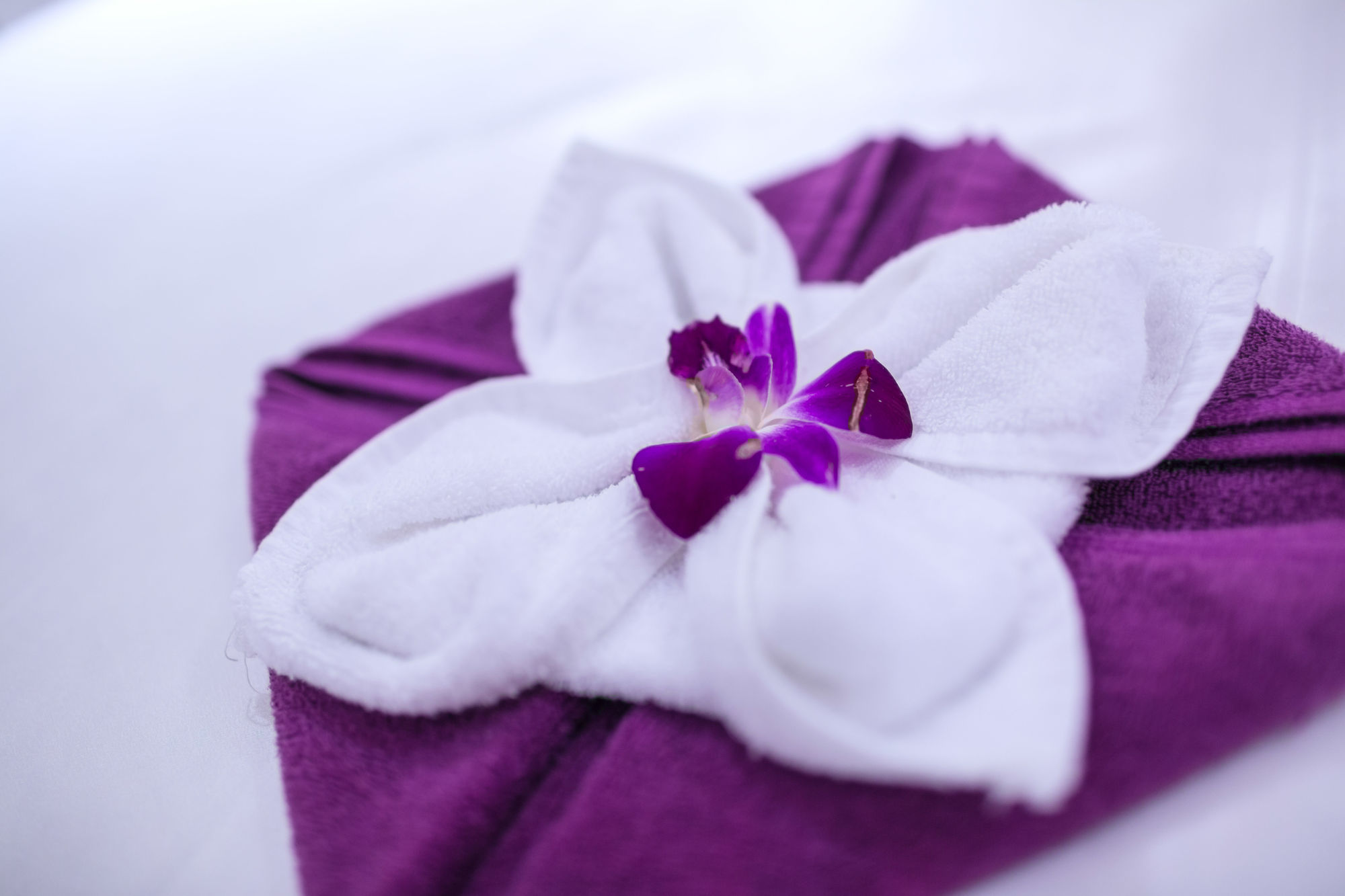 Holiday Beach Hotel Danang Khách sạn